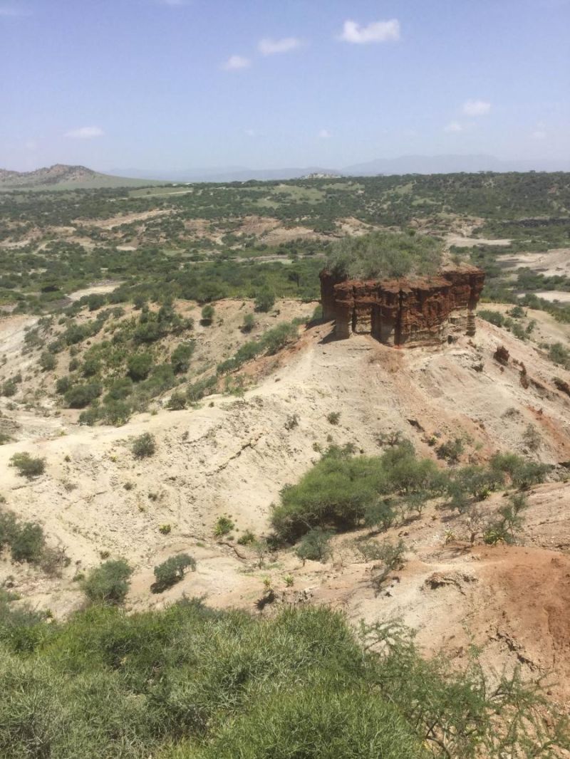 Excavacions a la gorja d'Olduvai, en un jaciment on fa  1,5 milions d’anys va viure  l'Homo erectus i va inventar una nova tecnologia.