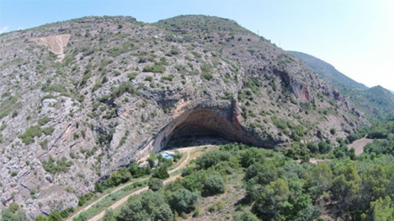 Els pins de muntanya arribaven fins a la costa al nord-est de la península ibèrica fa 50.000 anys