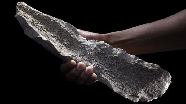 New discoveries reveal systematic production of bone tools 1.5 million years ago